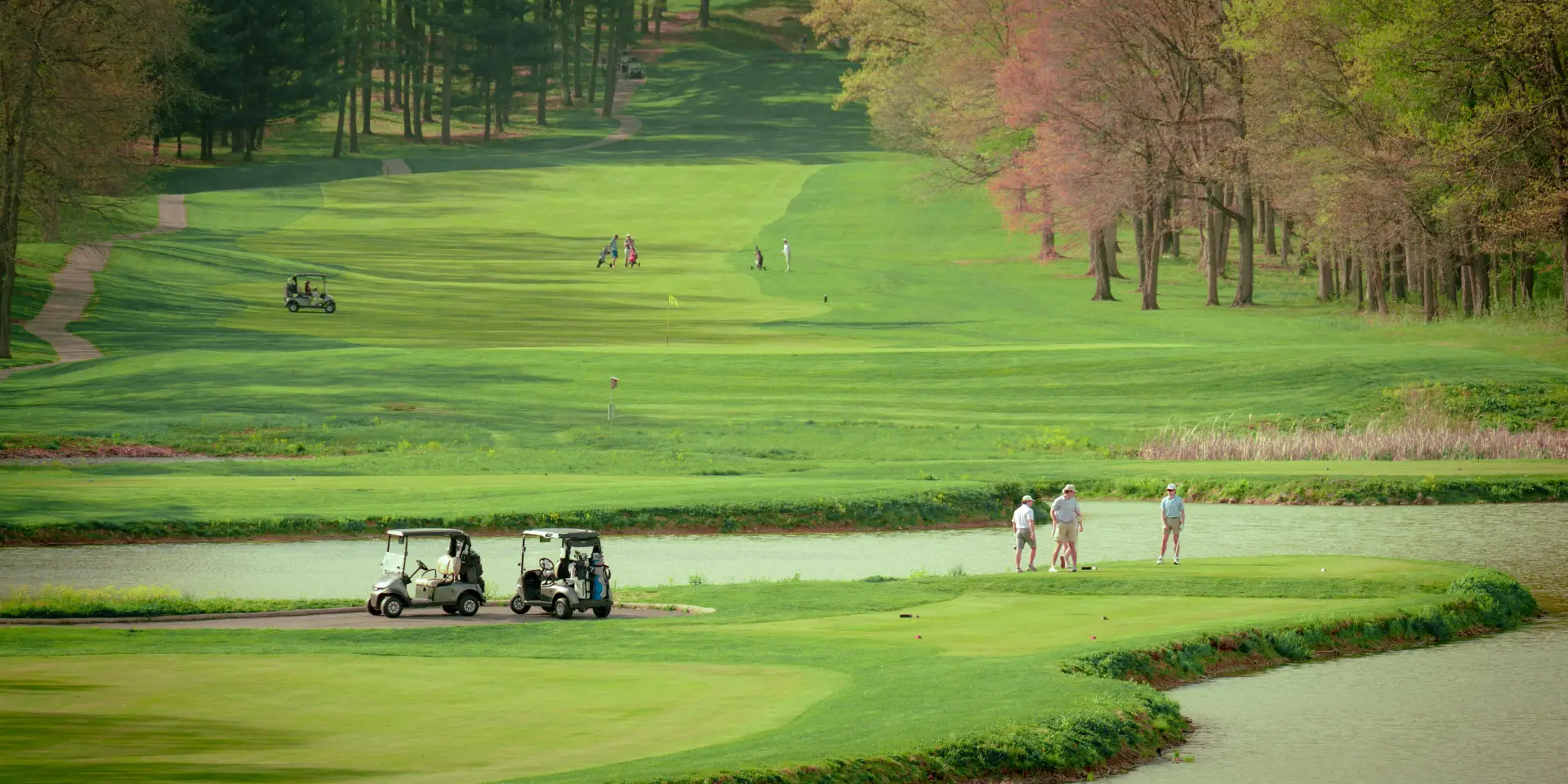 Golf course green with scenic backdrop