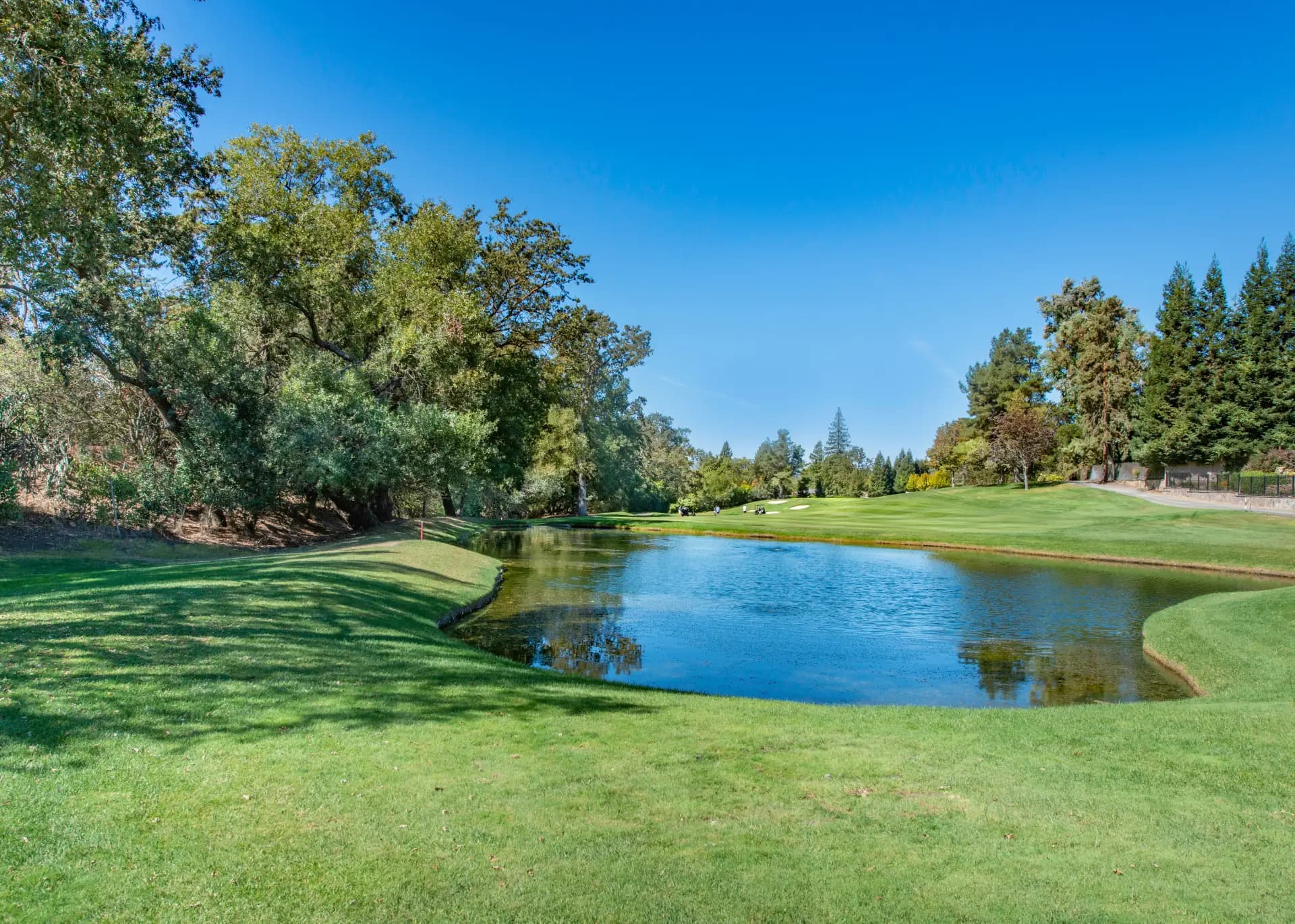 Golfers connecting on the tee